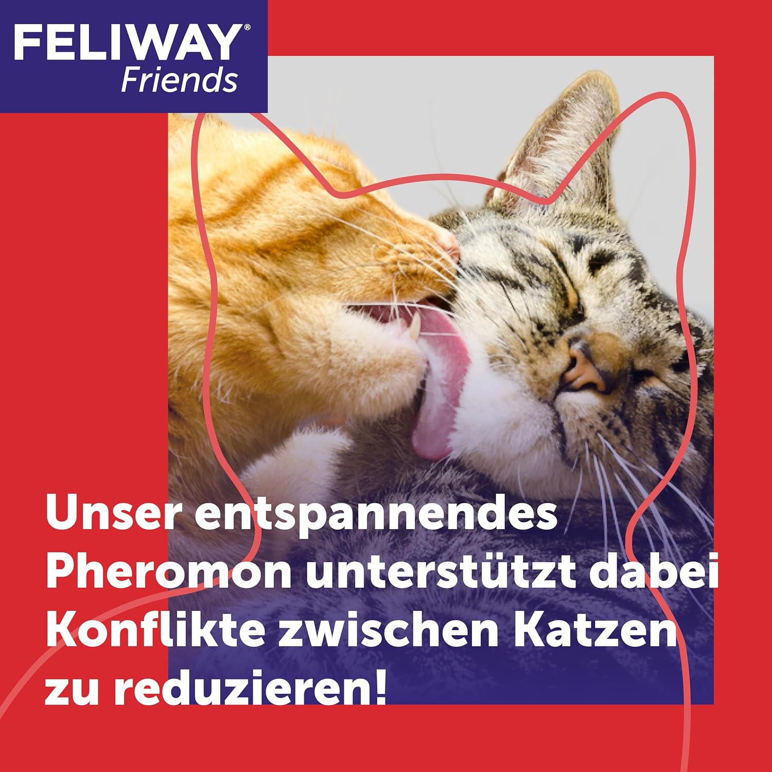 Thumbnail 1 de FELIWAY Friends 30 Tage Pheromon Verdampfer Start-Set, 48 ml – Beruhigt Katzen und Kitten im Mehrkatzenhaushalt