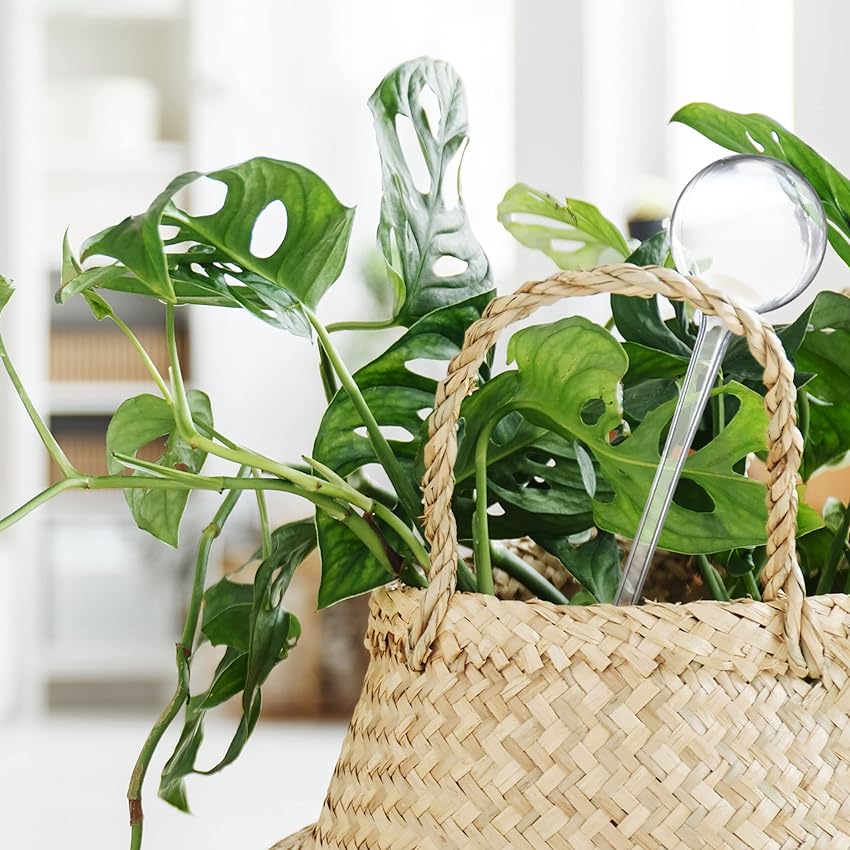 Detalle de Relaxdays 9 Globos de riego 250 ml para plantas