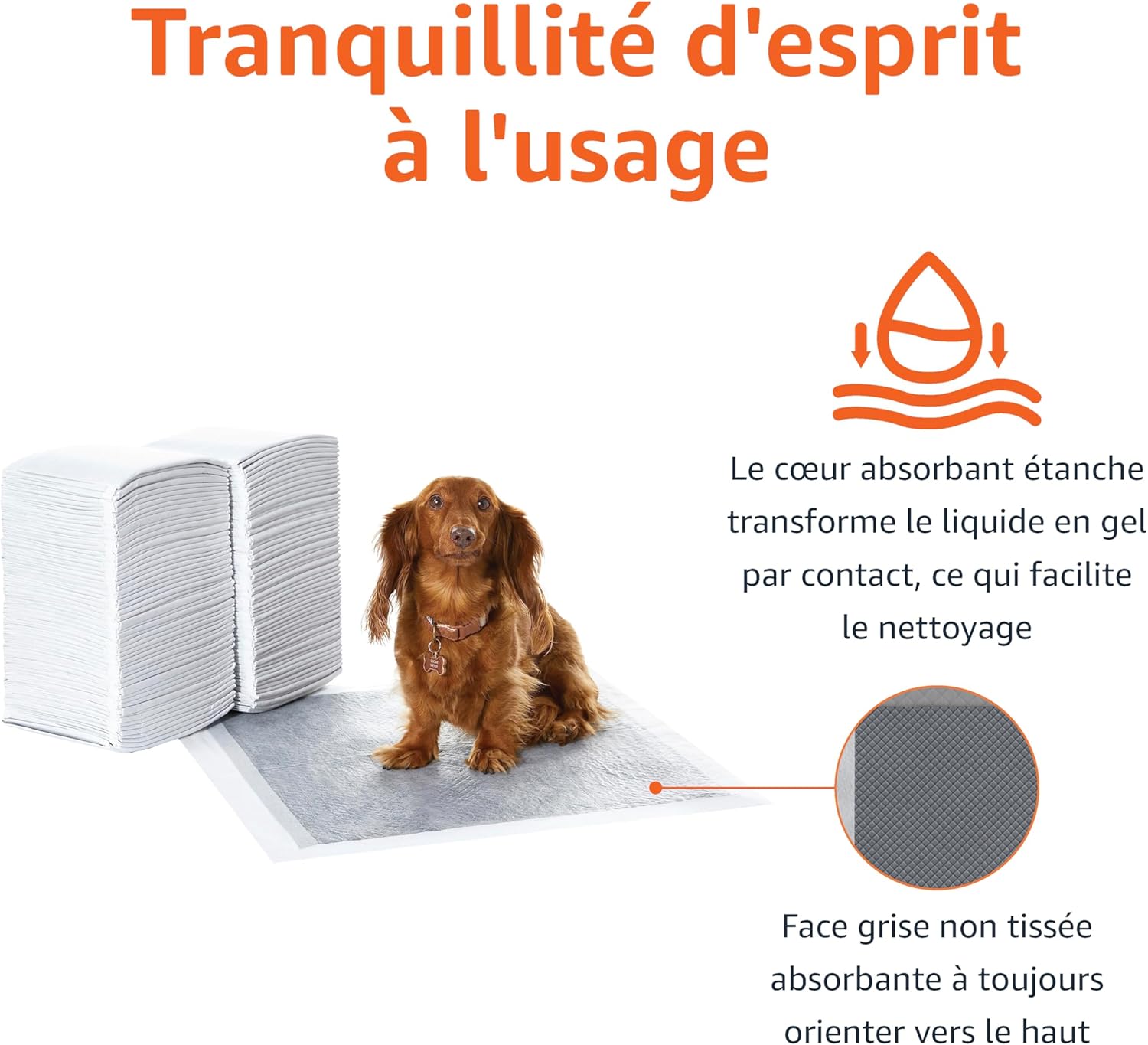 Thumbnail 3 de Amazon Basics Lot de 120 protections pour déjections canines — taille standard, 5 couches absorbantes et charbon pour les odeurs