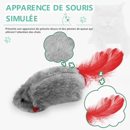 Detalle de FYNIGO - Pack de 2 Souris Suspendues Interactives pour Chat, Sans Piles, Corde Élastique et Plumage
