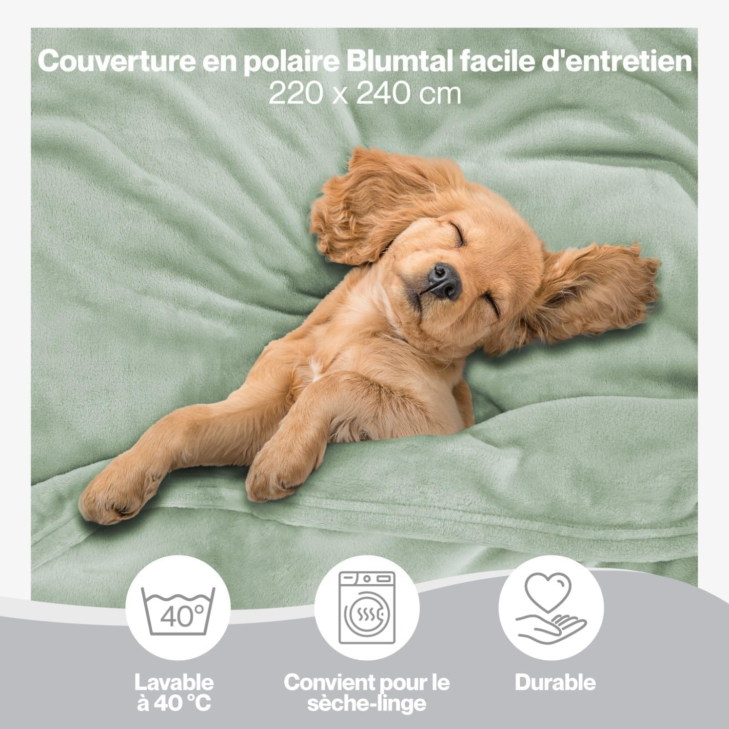 Thumbnail 2 de Blumtal Couverture Polaire Grand Plaid 220x240 cm – certifiée Oeko-TEX®, Vert d'été