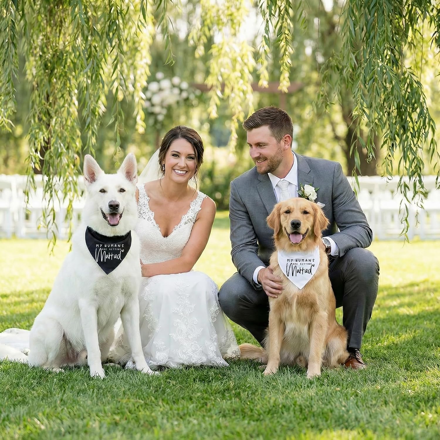 Thumbnail 5 de Bliceon 2 Pack Dog Bandana for Engagement – Black & White Heart Design