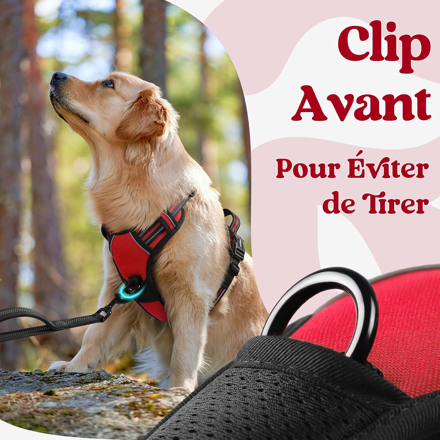 Thumbnail 5 de rabbitgoo Harnais anti traction pour chien M