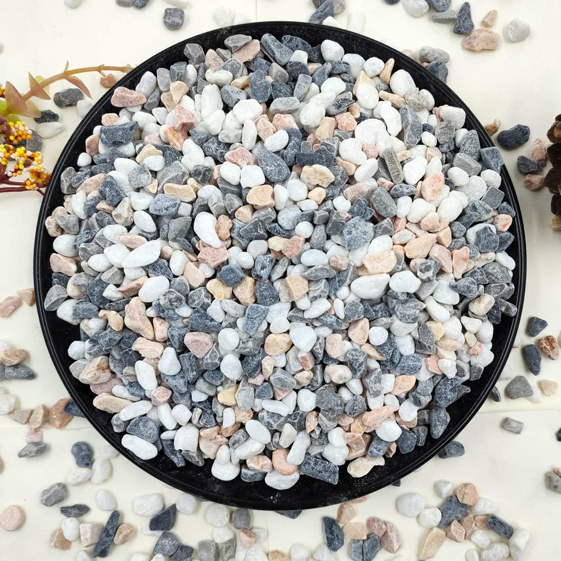 Detalle de YISZM 5 lb Succulent and Cactus Pebbles, 1/5-Inch Mixed Color