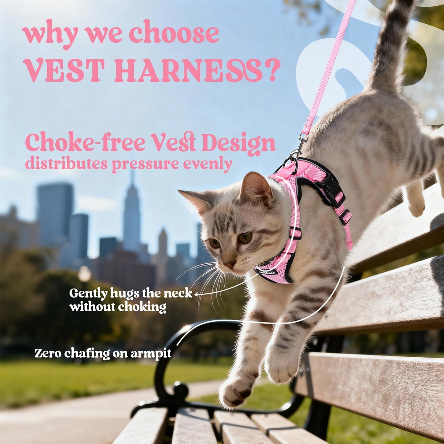 Detalle de rabbitgoo Cat Harness and Lead Set for XS