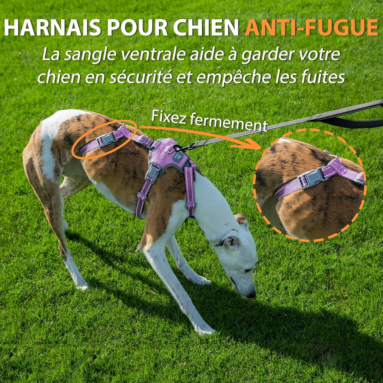 Detalle de Huntboo Harnais anti-fugue réfléchissant pour chien (lavande pourpre, S) – anti-traction réglable