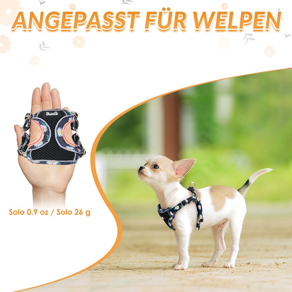 Detalle de Eyein Hundegeschirr Kleine Hunde mit Leine – Atmungsaktives Step-in-Brustgeschirr (XXS)