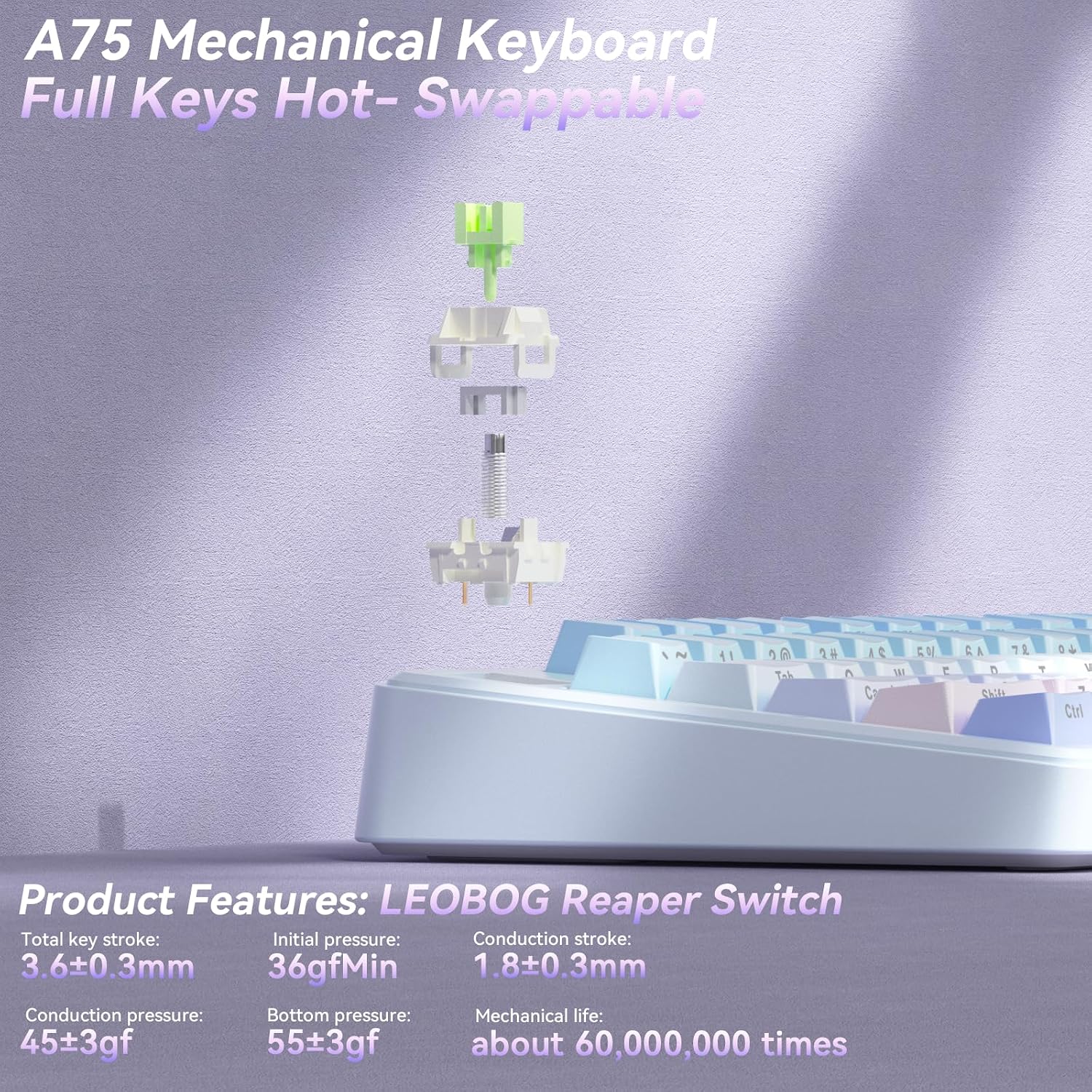 Detalle 1 de SOLAKAKA A75-Gradient-BluePurple 75% Wireless Mechanical Keyboard, RGB, Hot-Swappable
