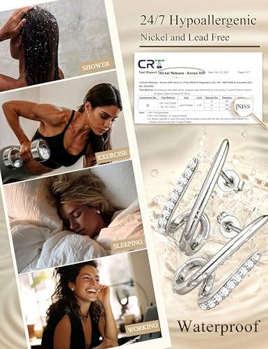 Detalle de Diamday Argent Boucles D'Oreilles en Argent 925 pour Femme - Clous Hypoallergéniques