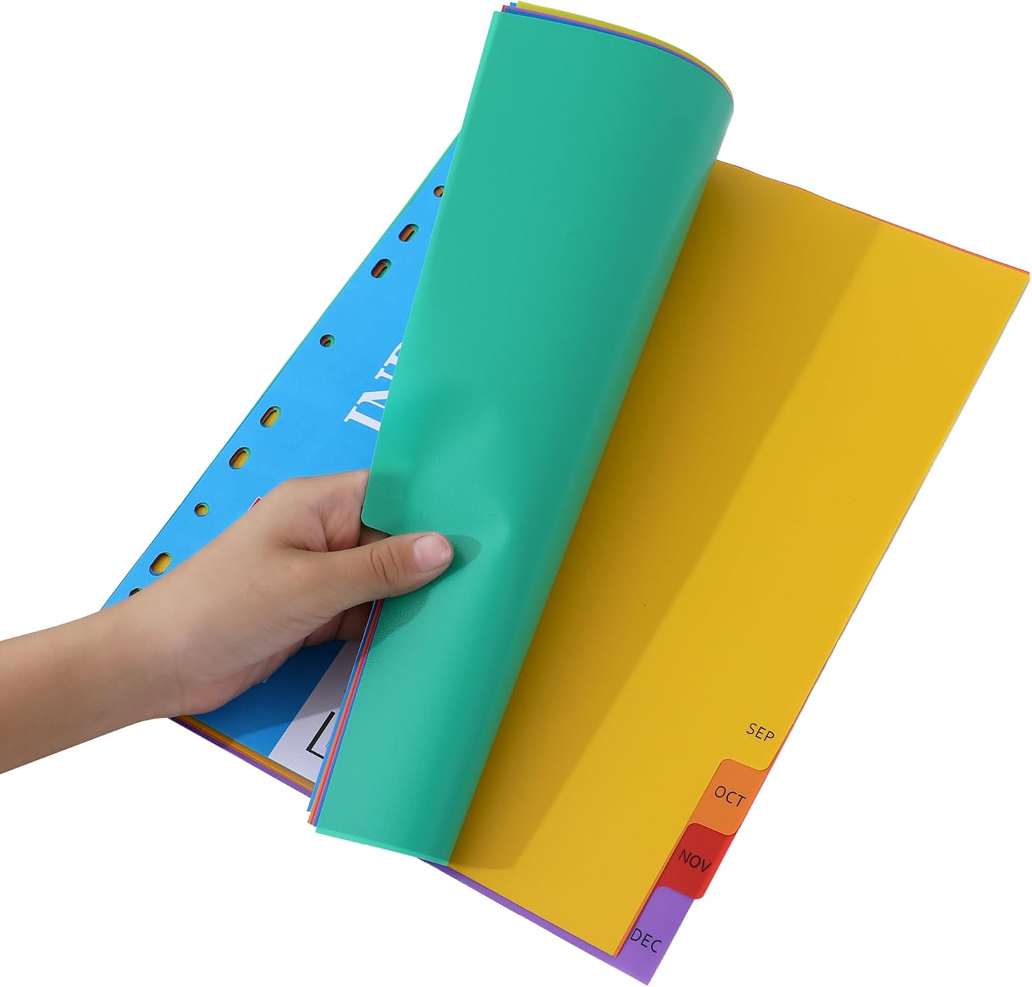 Detalle de A4 1-12 month dividers 10 pack