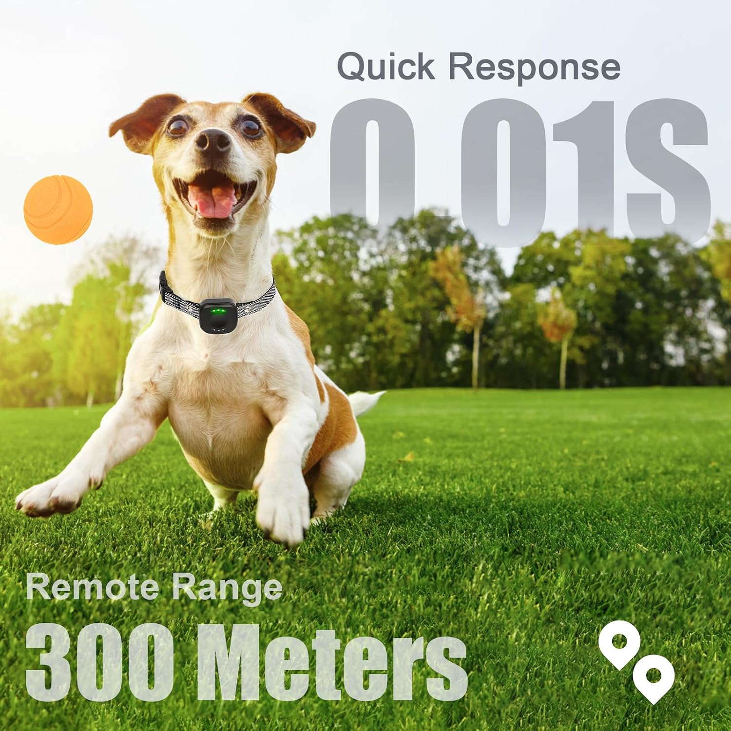 Detalle 2 de Dog Training Collar 300M Range