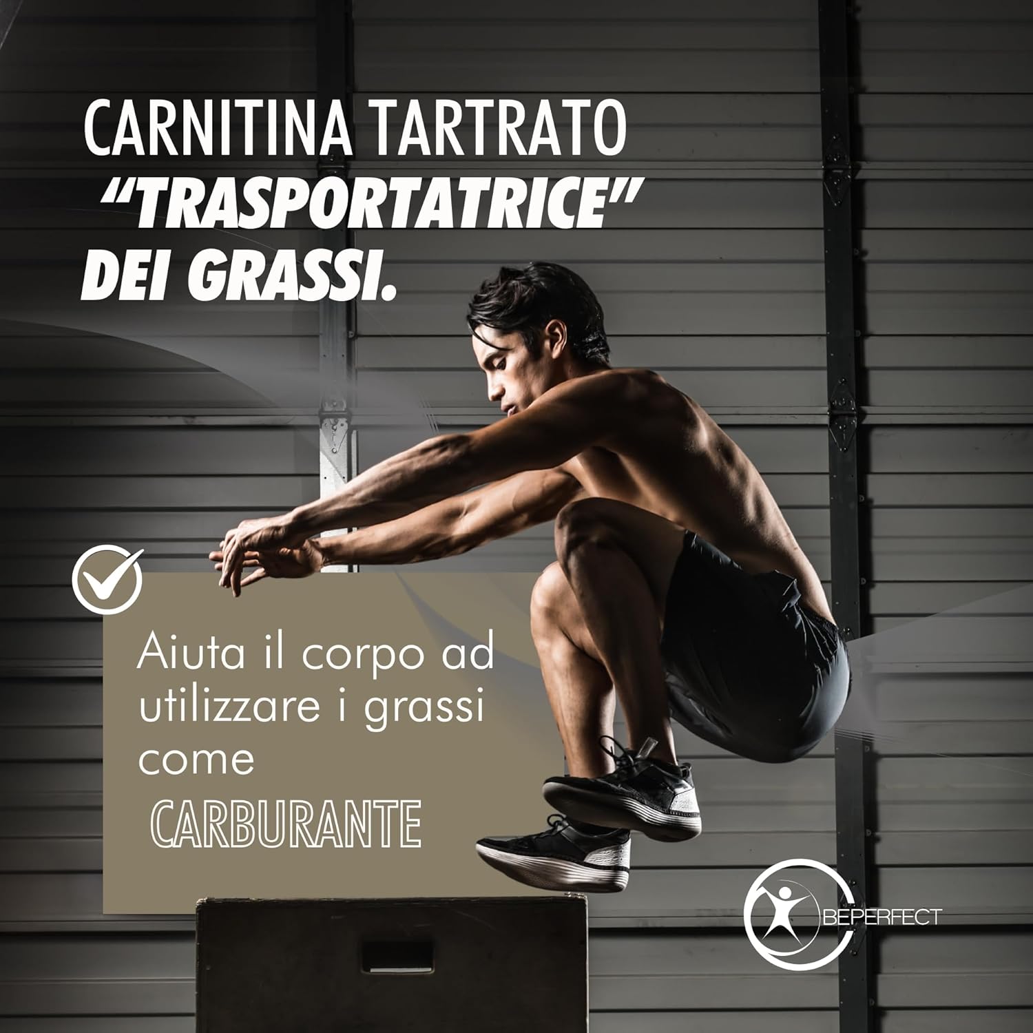 Detalle de Acetil L-Carnitina Tartrato Integratore 3360 mg