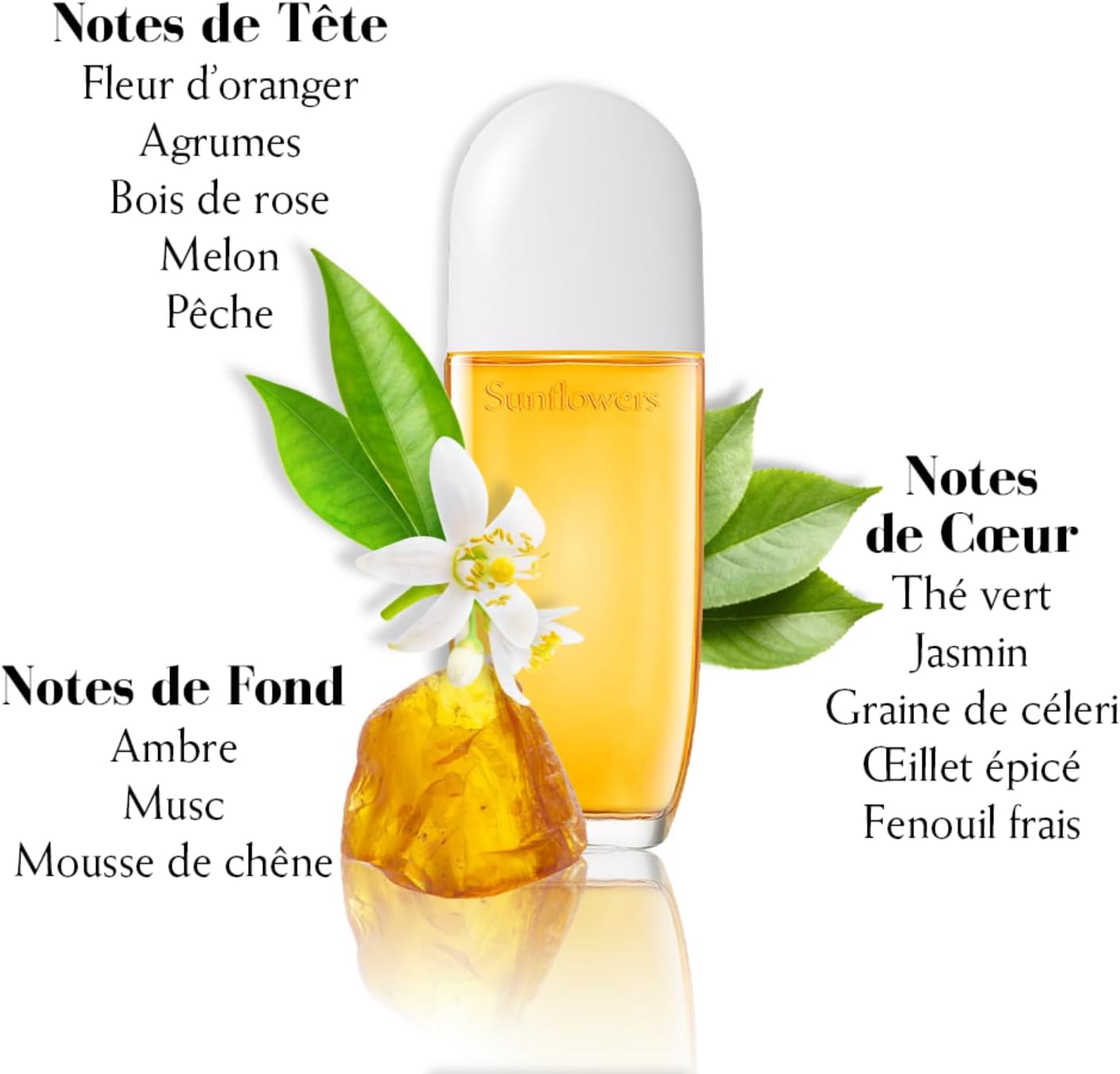 Detalle de Elizabeth Arden Sunflowers – Brume Parfumée pour Femme, Senteur Florale et Fruité