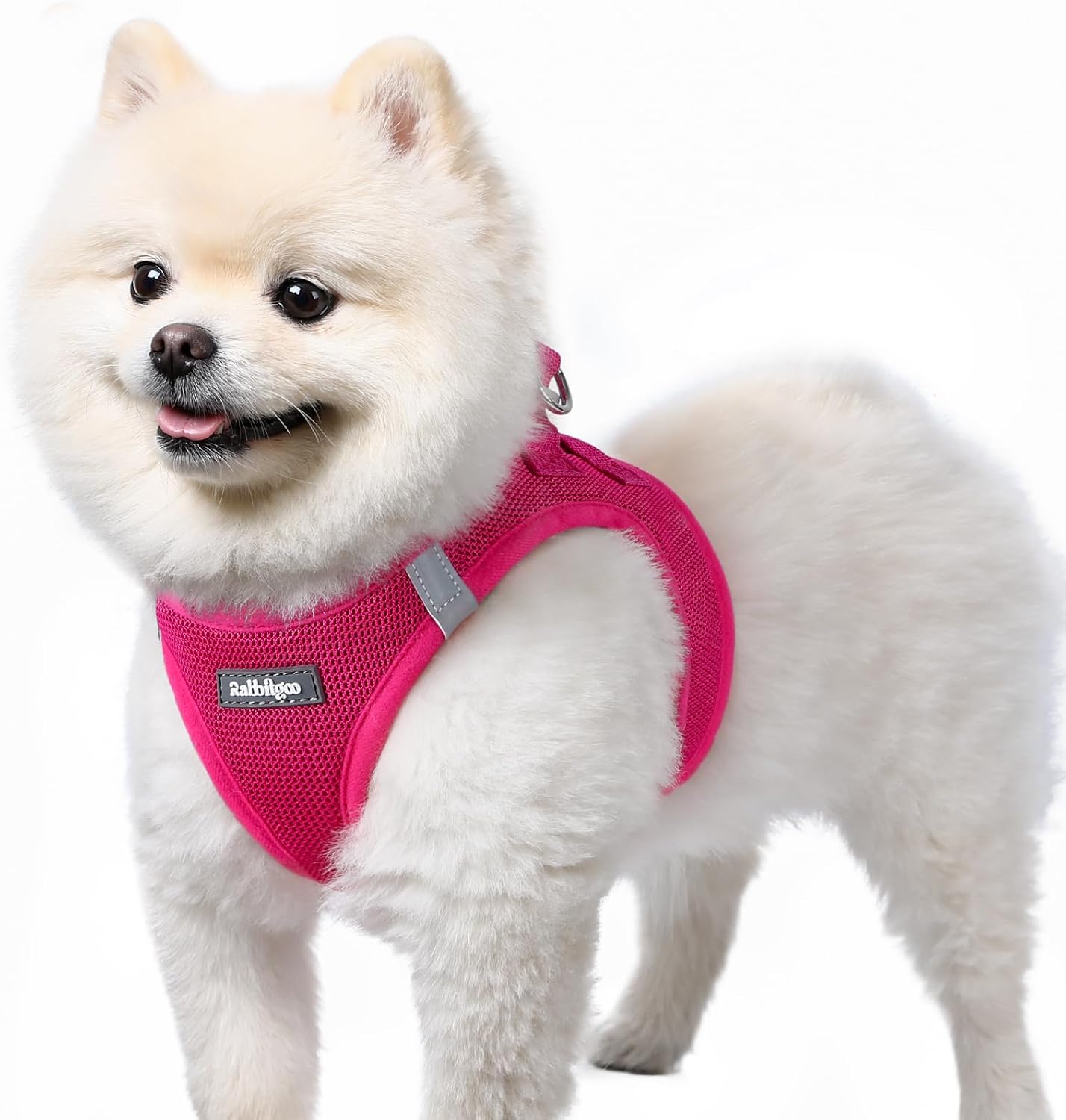Detalle de rabbitgoo Step-in Welpengeschirr für kleine Hunde (Soft Mesh, reflektierend) – Rosarot, Größe S