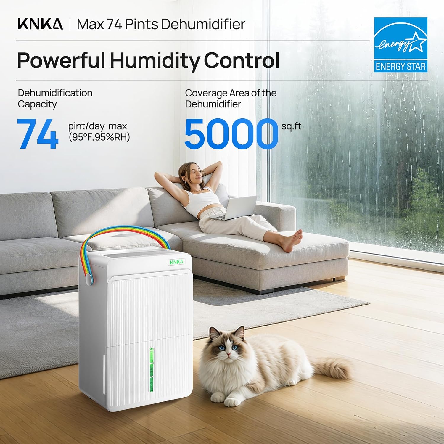 Detalle 2 de KNKA Dehumidifier 74-Pint