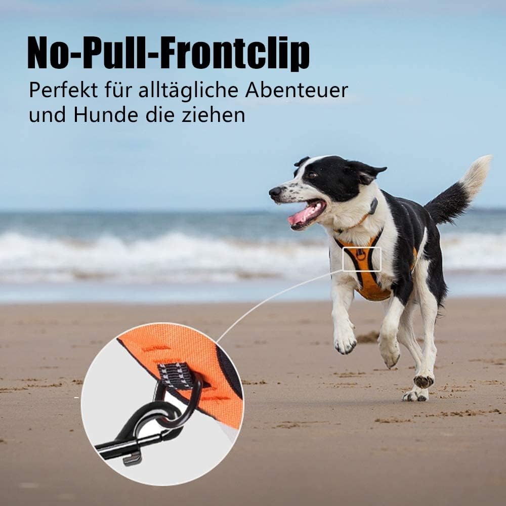 Thumbnail 3 de PoyPet No Pull Hundegeschirr L, reflektierend