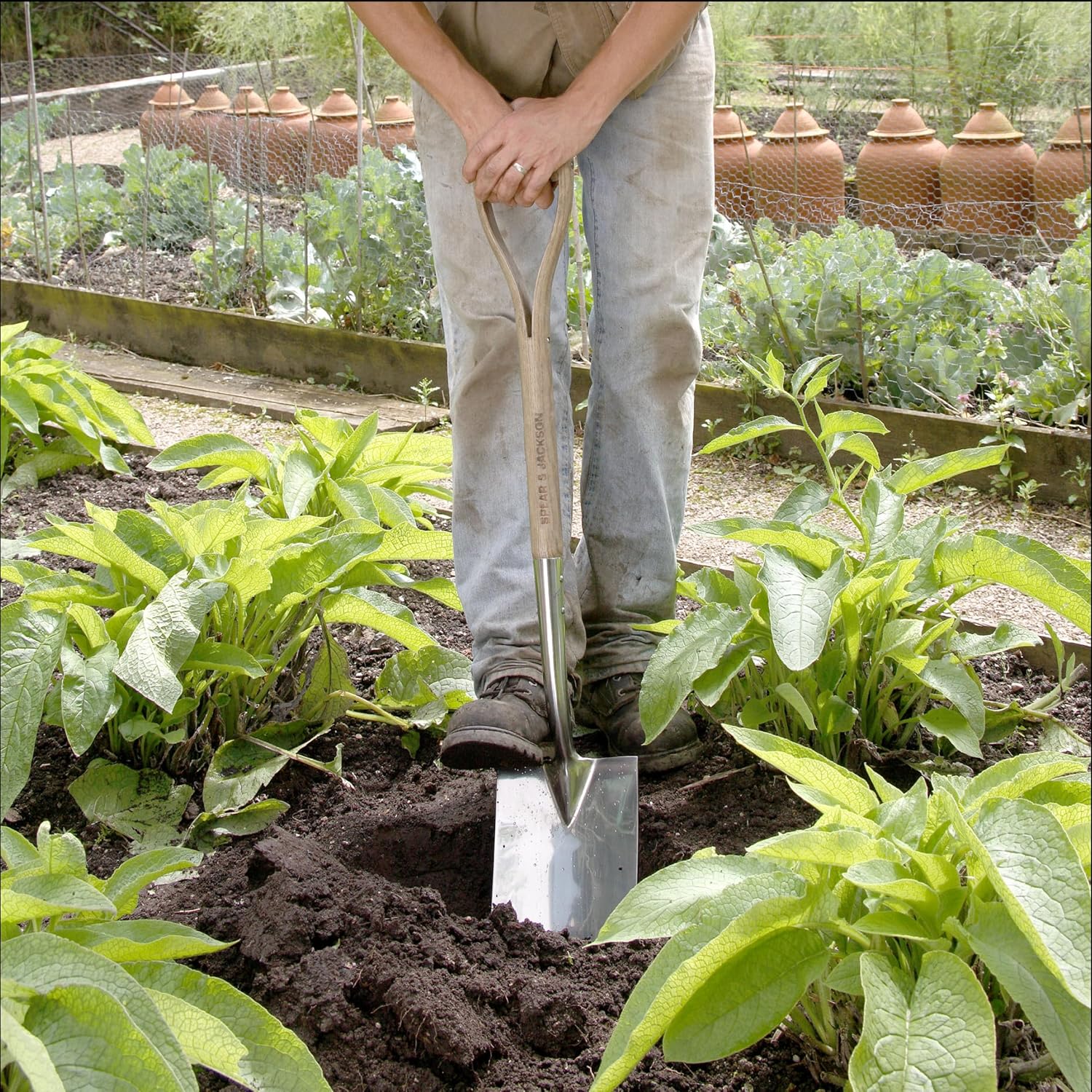 Thumbnail 4 de Spear & Jackson 4450DS Traditional Stainless Digging Spade