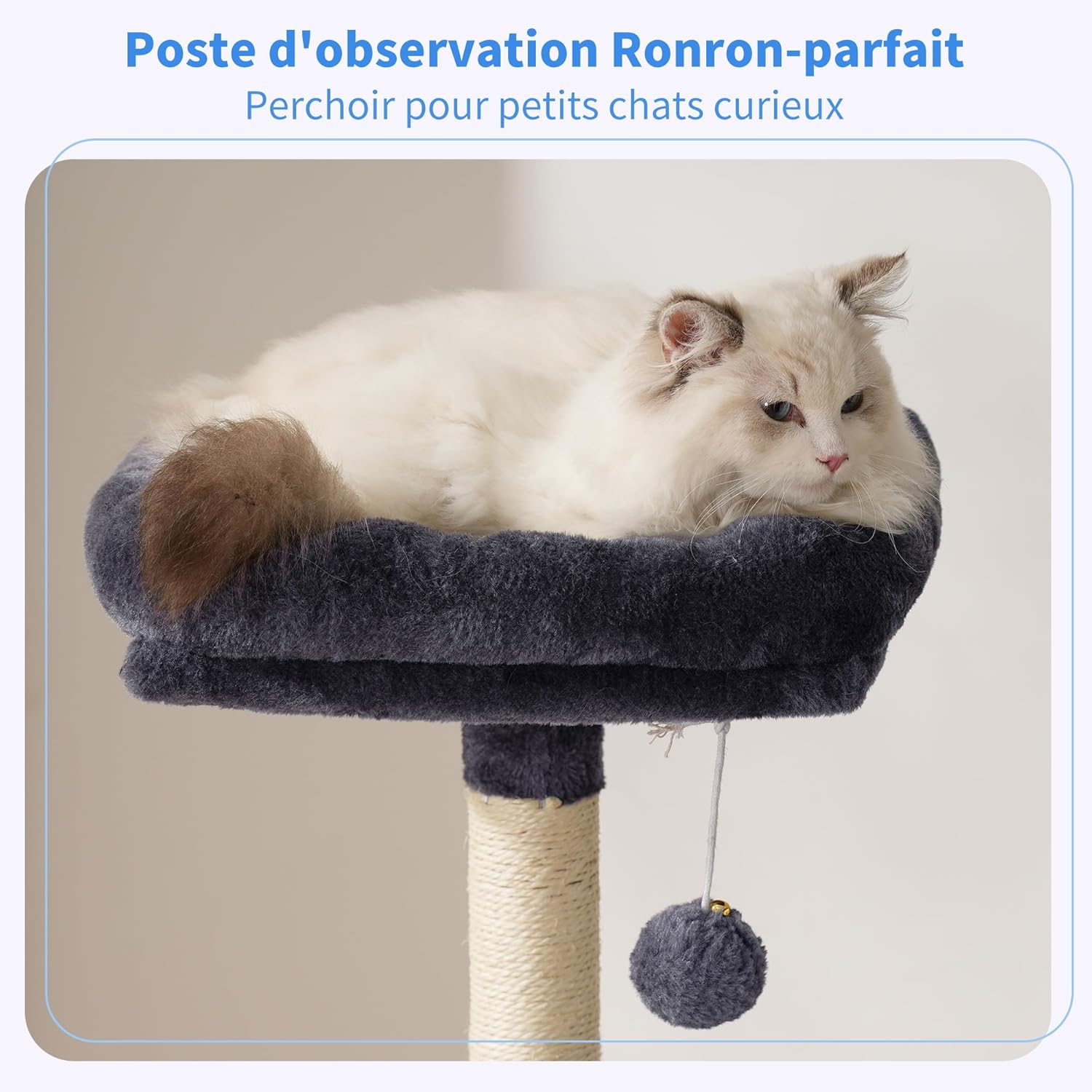 Thumbnail 2 de Heybly Arbre à chat HCT200SG gris anthracite (125 cm) avec niche, plateformes et griffoir en sisal