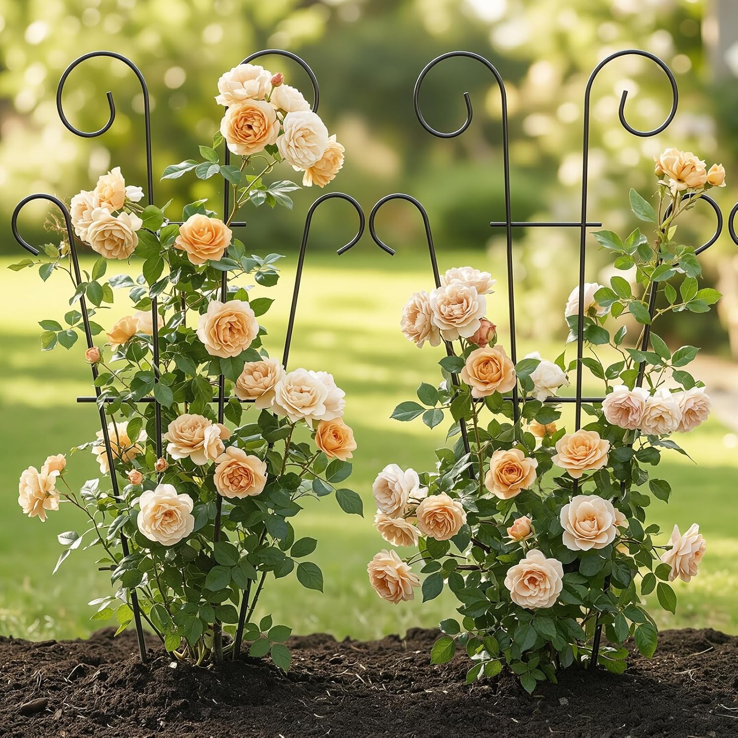 Detalle de Thealyn 4-Pack 32-Inch Plant Trellis for Potted Climbers – Wave-Style Metal Support (Black)