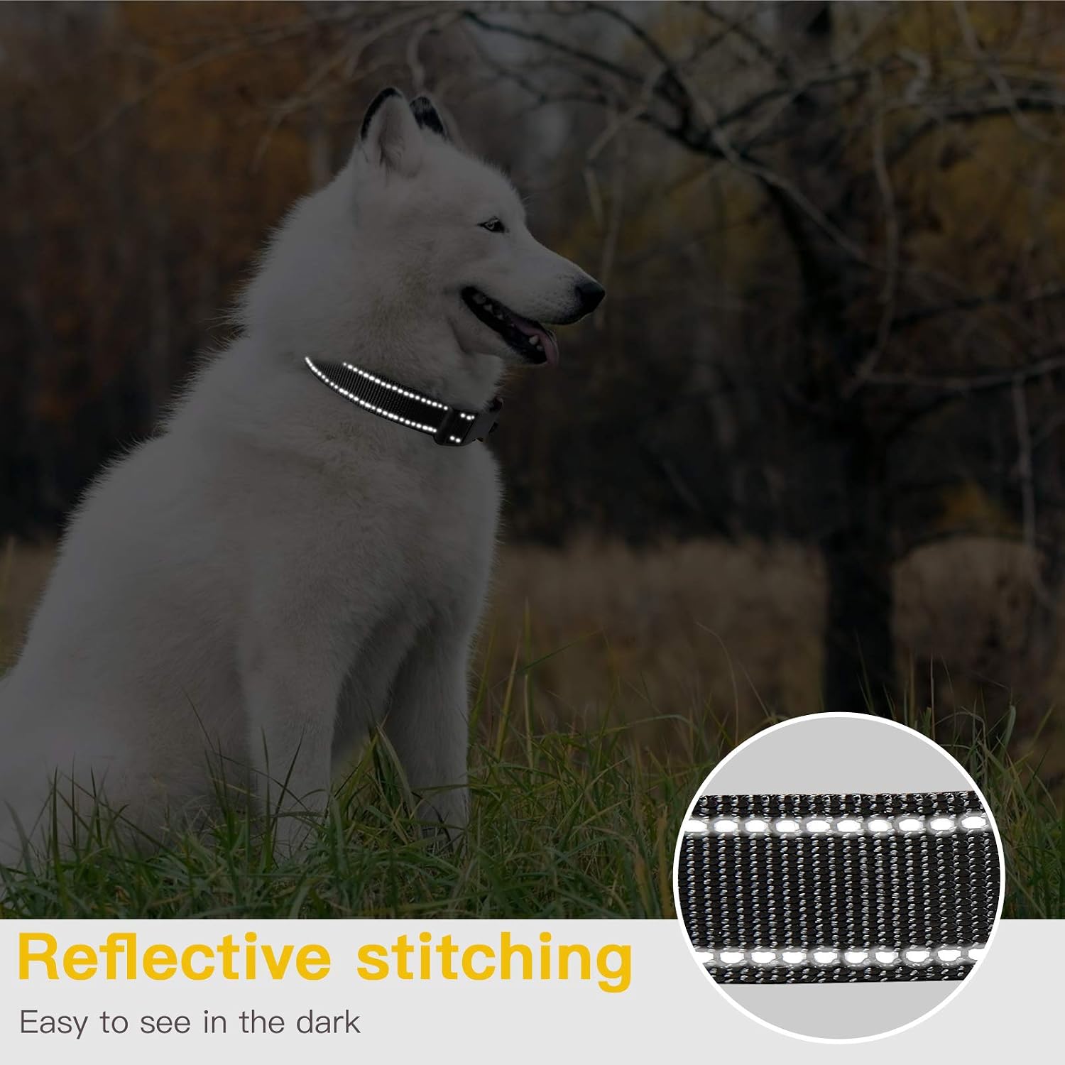 Thumbnail 3 de HEELE reflective dog collar with soft neoprene padding (Orange, size L 40–66cm)