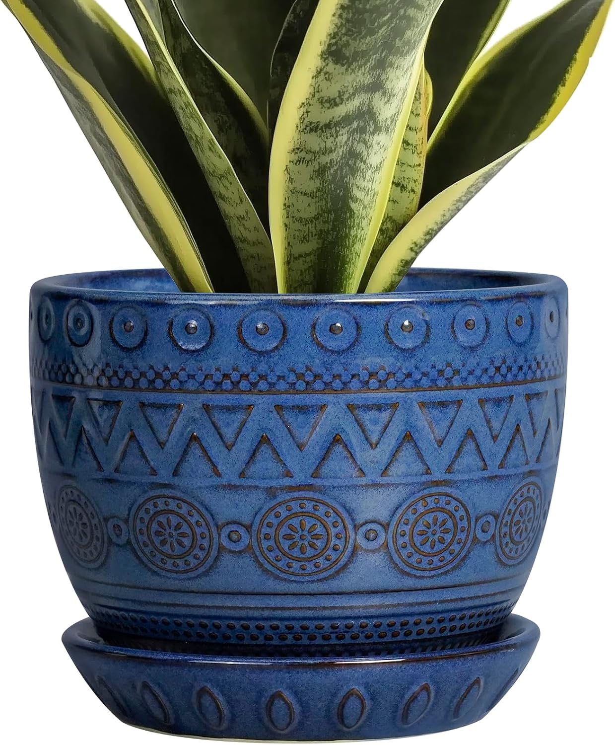 Detalle de EPGardening Ceramic Planter, 5-Inch