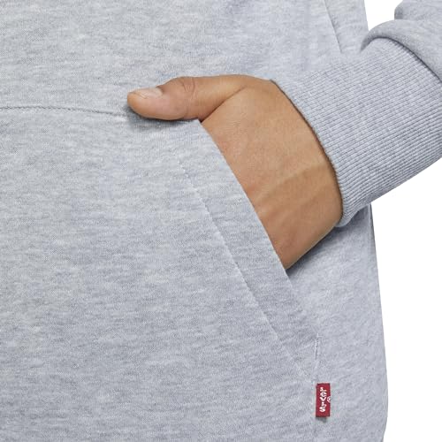 Thumbnail 4 de Levi's Lvb Batwing Hoodie Niños Gris 2 Años
