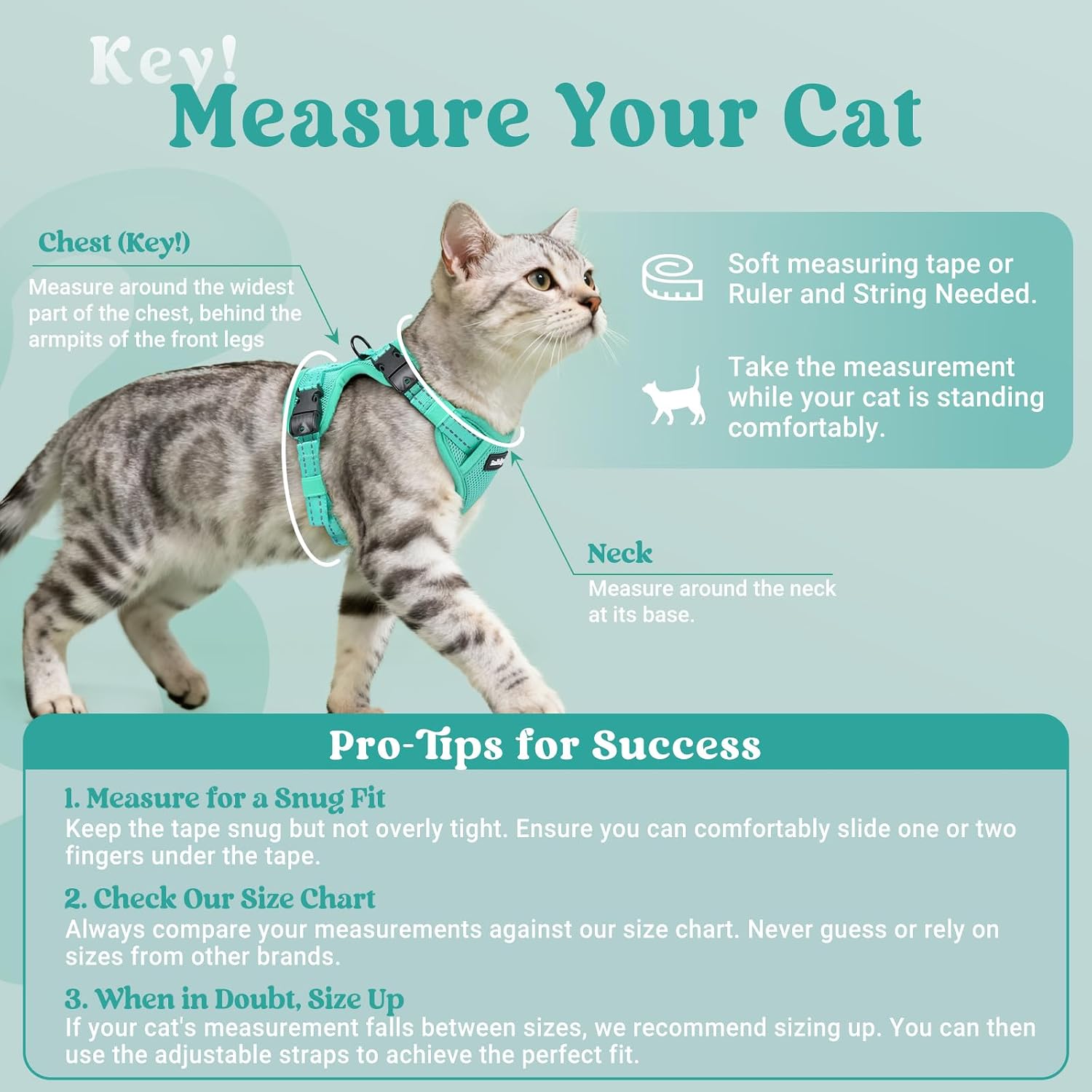 Thumbnail 1 de Rabbitgoo Cat Harness and Lead Set (M) – Escape-Proof, Reflective, Adjustable for Medium-Large Cats