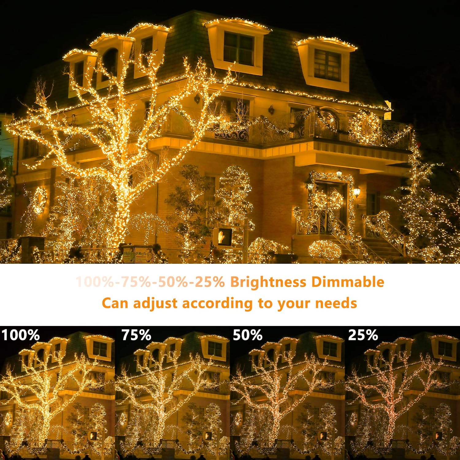 Detalle de YAGOPAL Luci Natale Esterno 100M 800 LED – Catena luminosa impermeabile per esterni