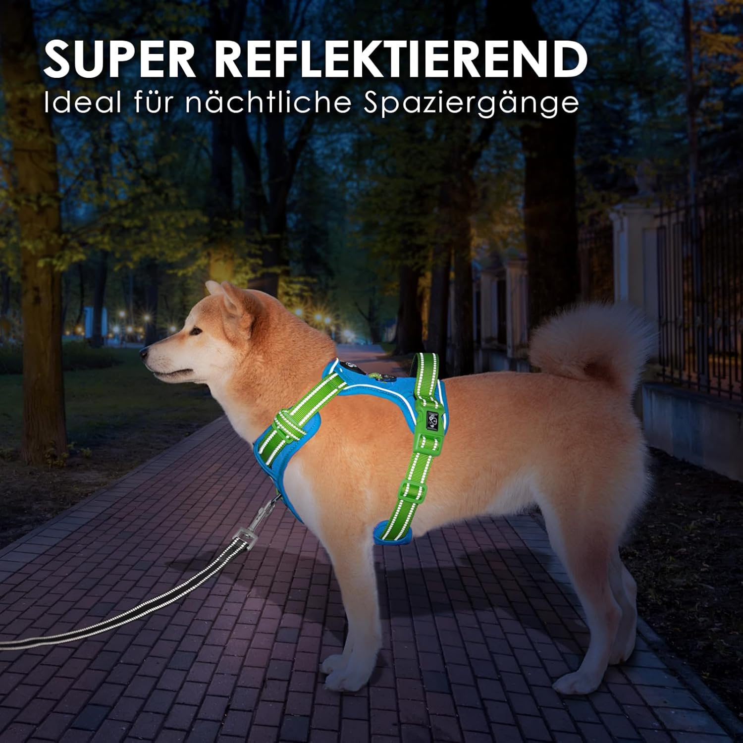 Thumbnail 3 de PHOEPET Anti-Zug Hundegeschirr mit Reflektoren (verstellbar, Schnellverschluss, XL) – blaues Grundteil & grüne Träger