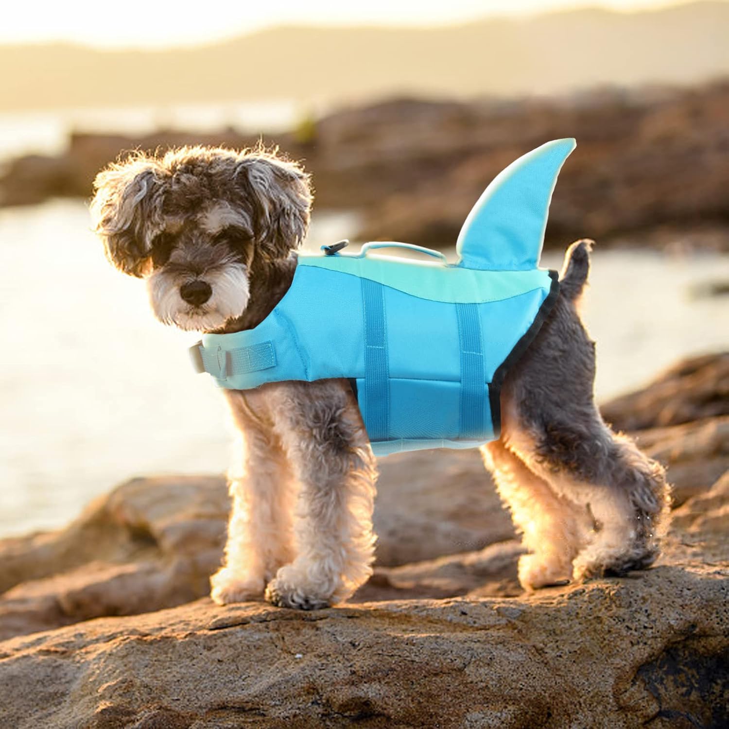 Detalle de EMUST Shark Dog Life Jacket (Pool Blue) – Small to XL, Rescue Handle