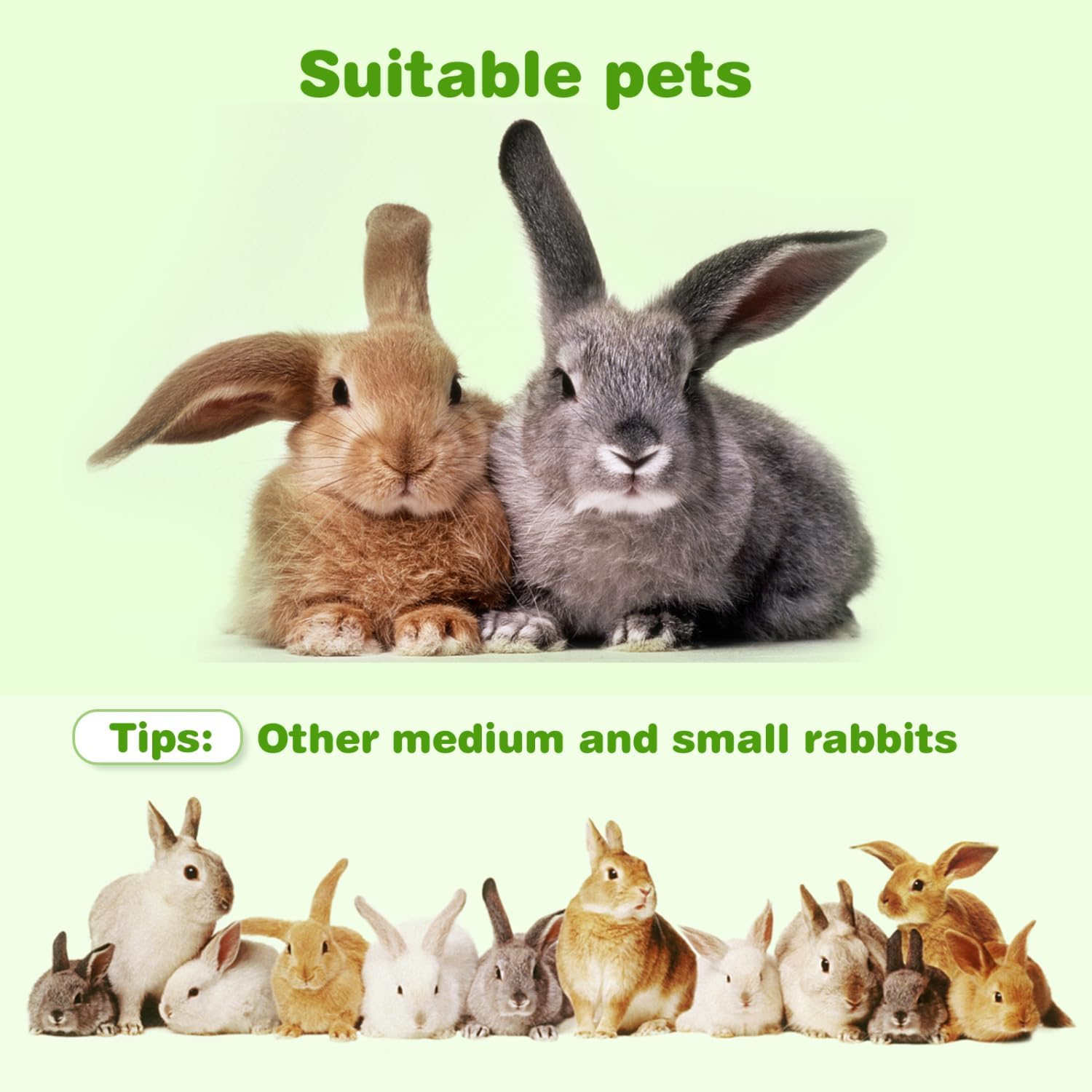 Thumbnail 5 de Nobleza Alimentation pour Lapin (700 g) – mélange de grains, vitamines et soutien de la digestion