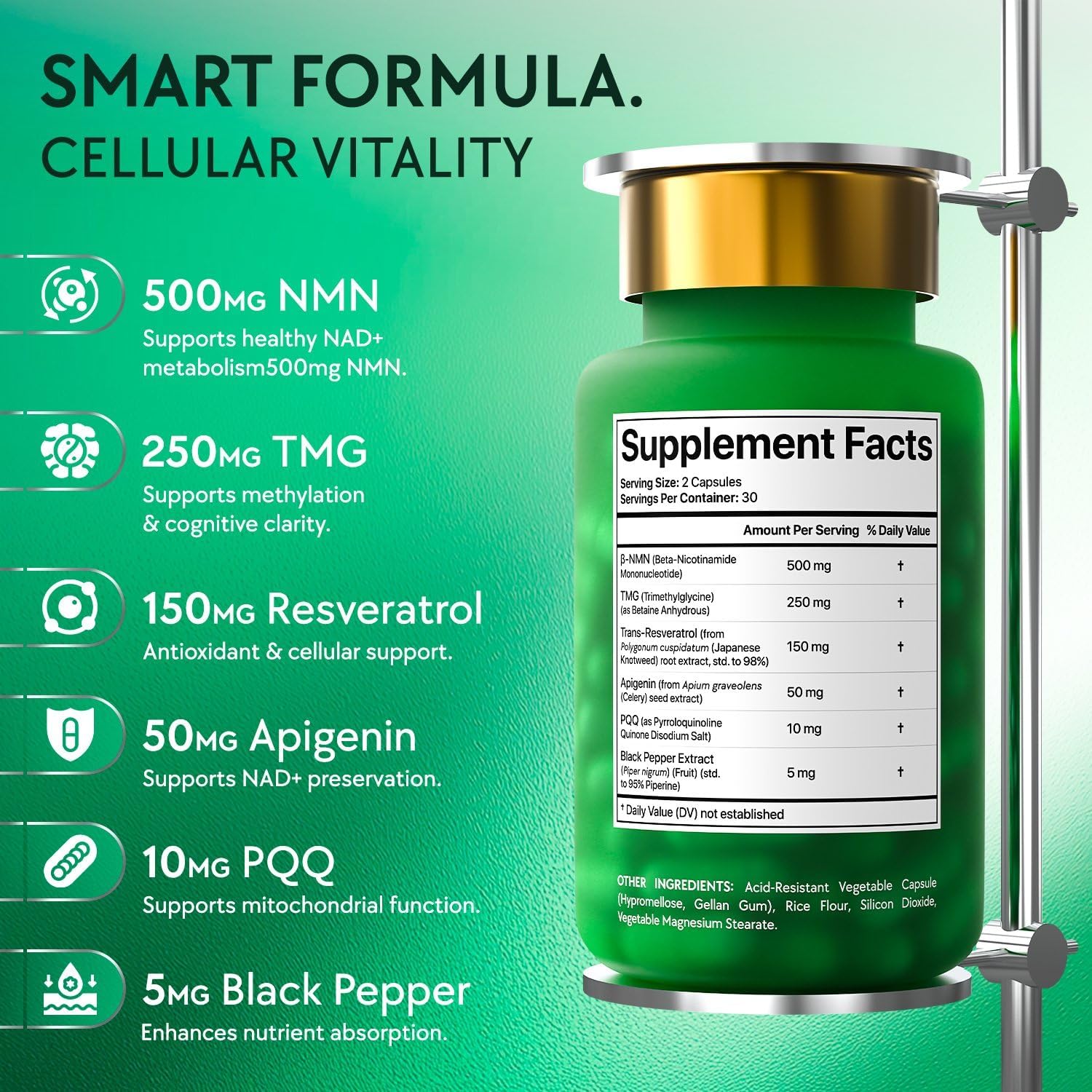 Detalle de NMN Supplement 500 mg