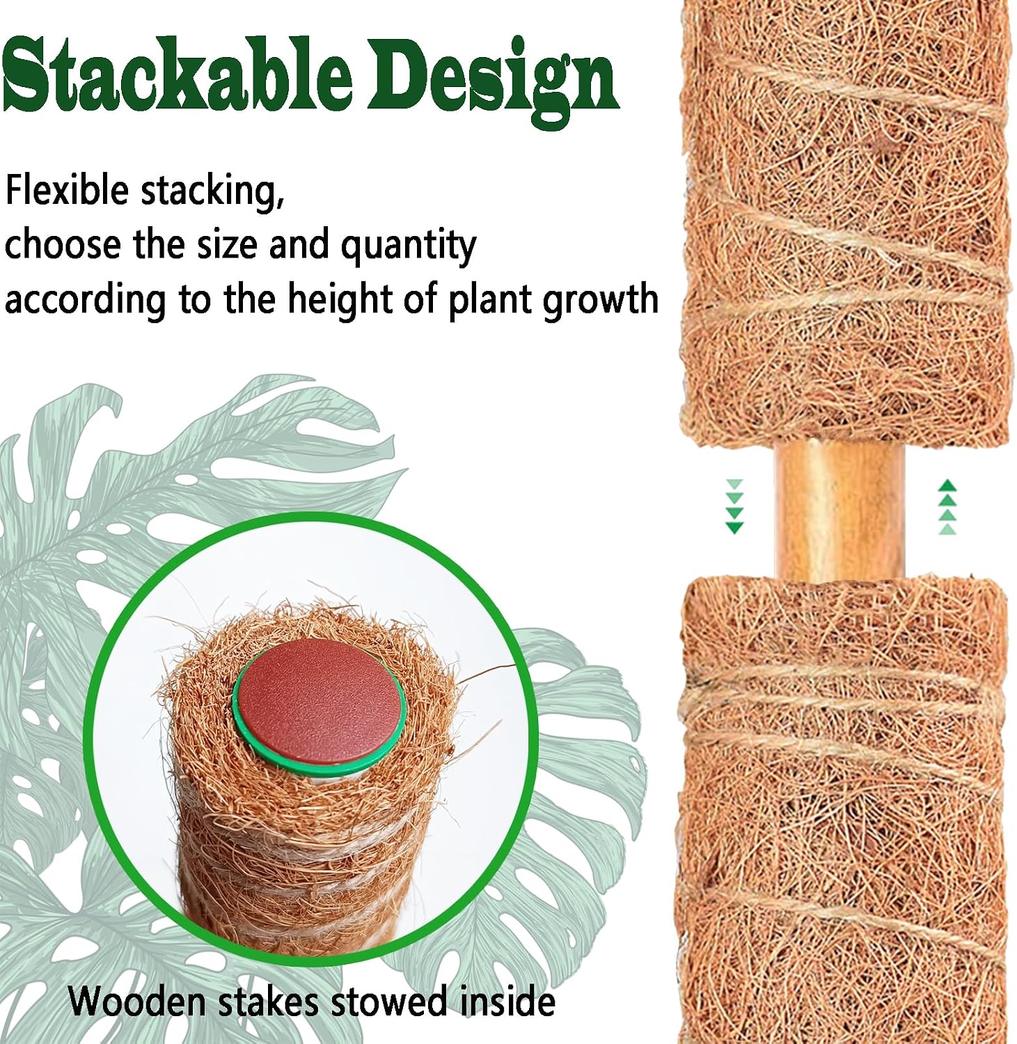 Detalle 2 de CHIAFFI MOSS POLE 217 17-Inch Stackable Coir Plant Supports, 2-Pack with Jute Twine