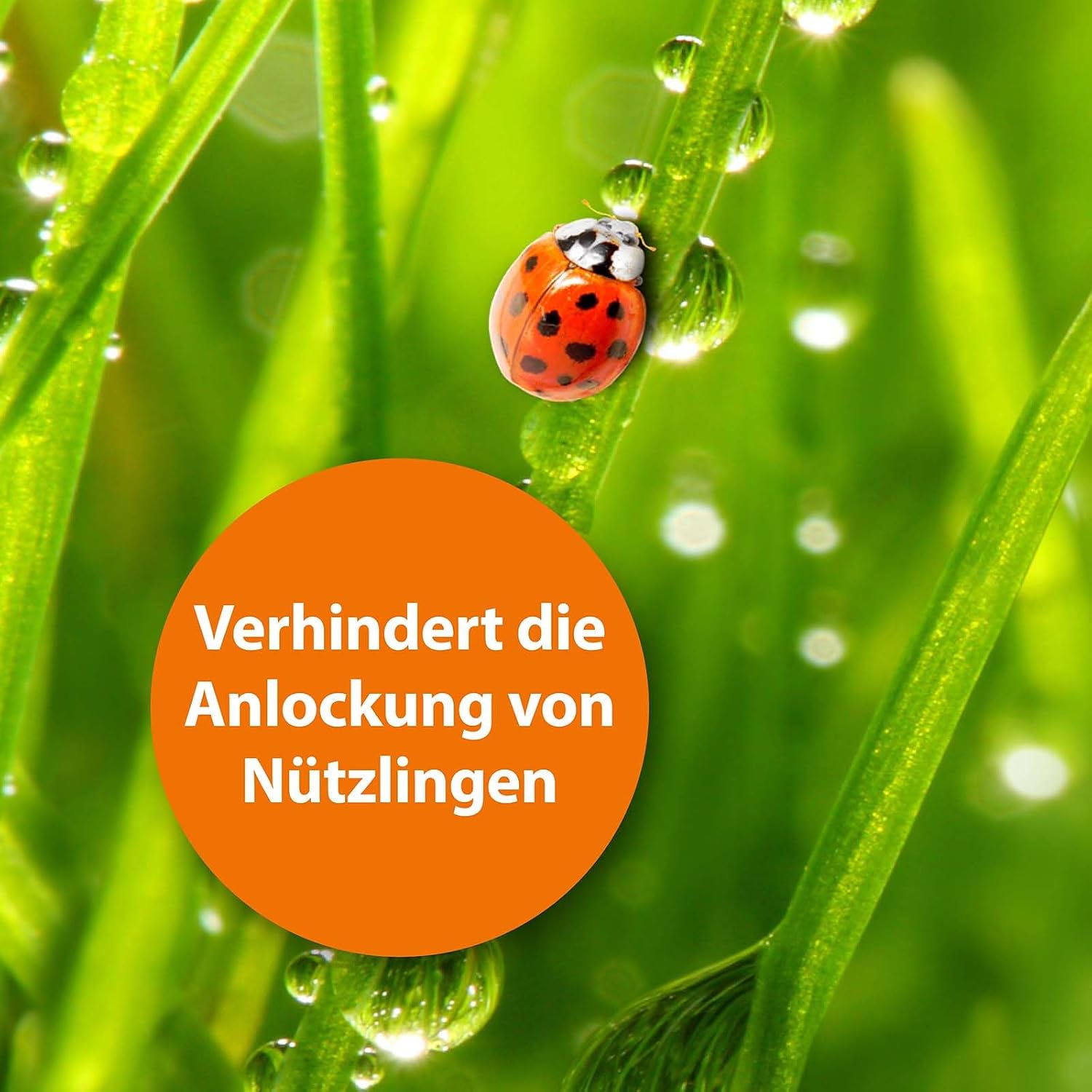 Detalle de ARPAD Fliegenfalle Außenbereich – biologische Fliegenfallen, langanhaltend und outside geeignet (PT19)