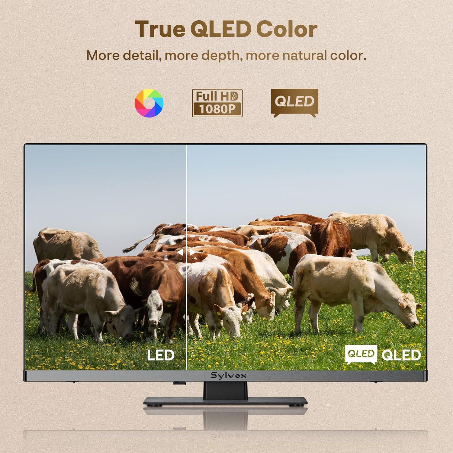 Thumbnail 4 de SYLVOX RV TV 22-Inch 12V QLED with Built-in DVD Player: A Rugged 12V Smart TV for Campers