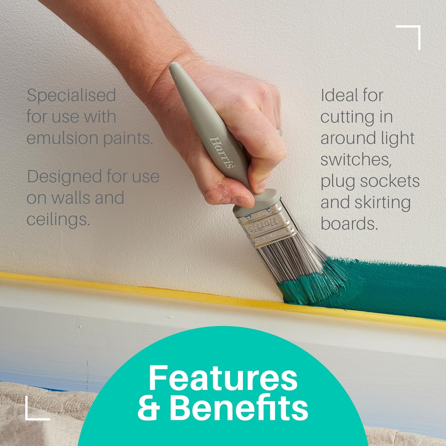 Detalle 2 de Harris Essentials Walls & Ceilings and Woodwork 10 Pack emulsion & gloss paint brushes