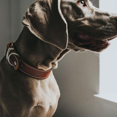 Thumbnail 4 de Hunter Collar Aalborg Special 20–24 cm Coñac