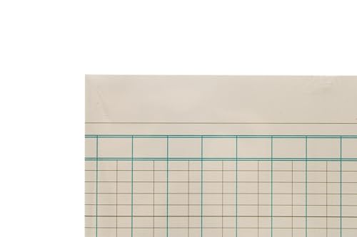 Thumbnail 6 de Exacompta Guildhall A4 Accountancy Paper, 298 x 203mm, 24 Sheets, 16 Cash Columns