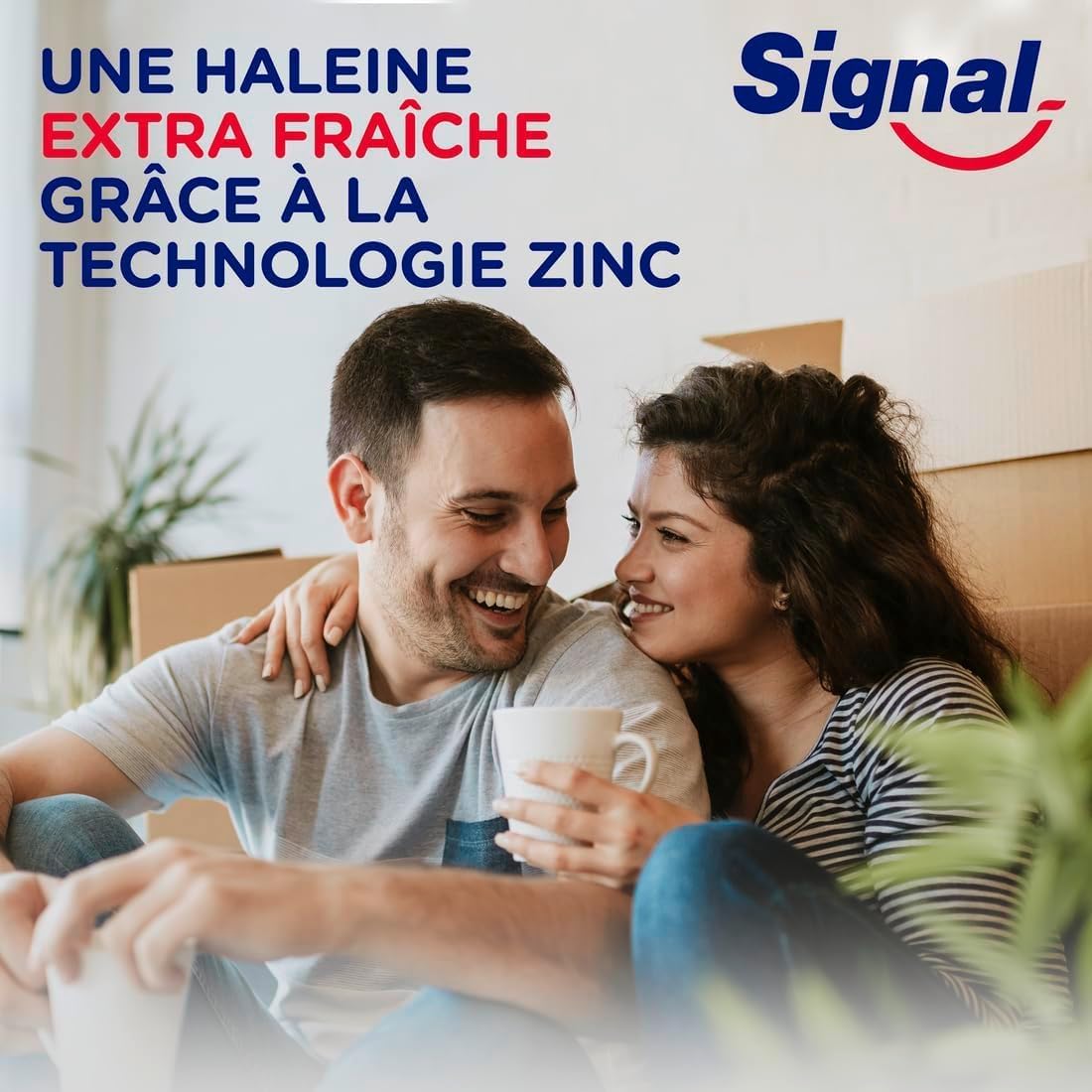 Thumbnail 3 de Signal Dentifrice Extra Fraîcheur 12h — lot 6×75ml 🪥