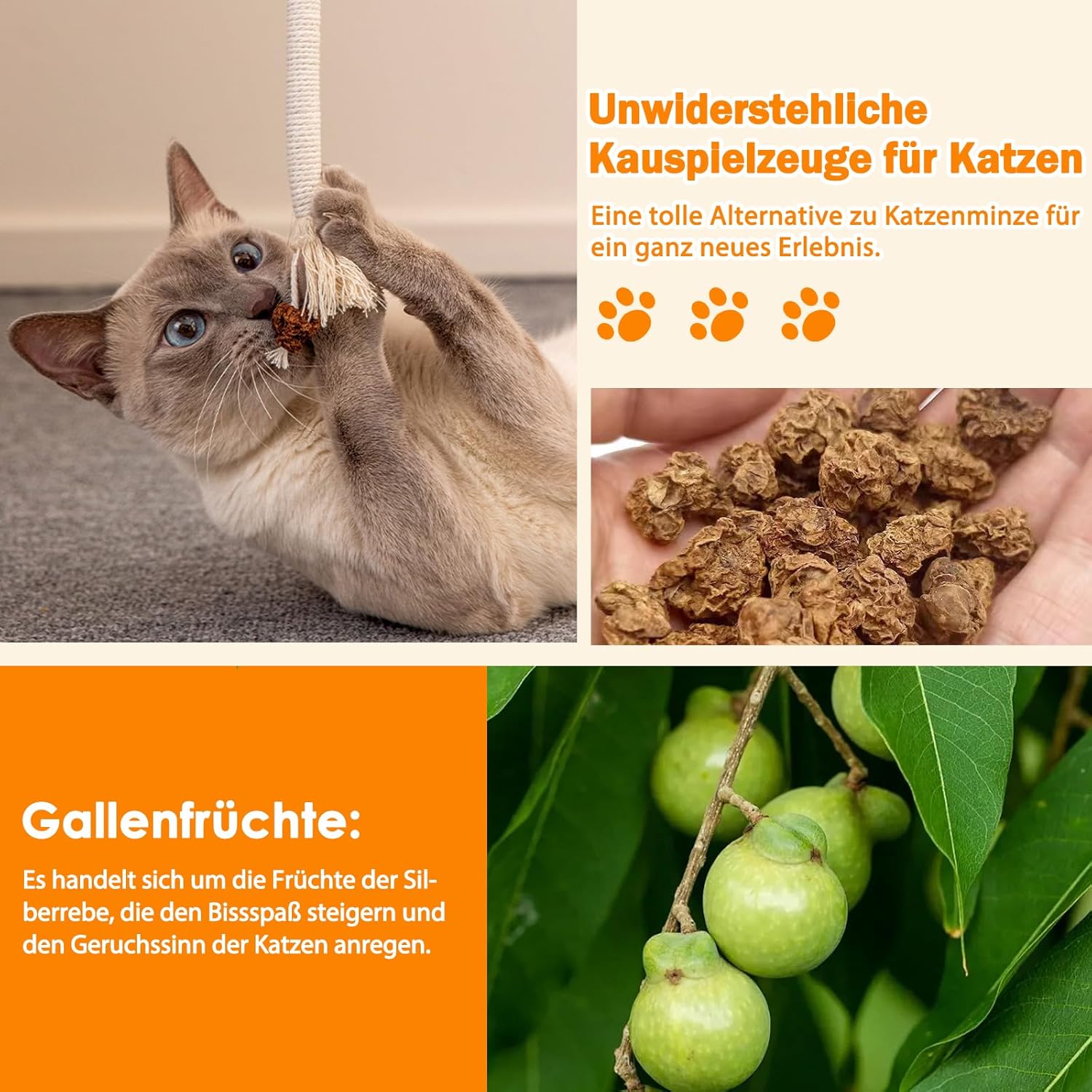 Detalle de Nepfaivy Katzenspielzeug Kauspielzeug für Katzen – 6 Stück Interaktives Katzenminze Kauspielzeug zur Zahnpflege und gegen Mundgeruch