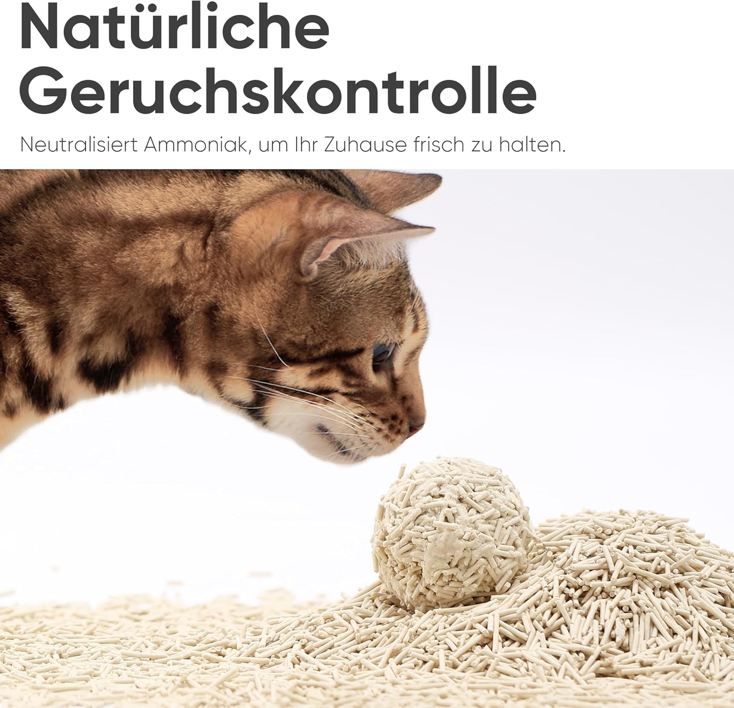 Thumbnail 2 de FUKUMARU Tofu Katzenstreu 5,4 kg – Klumpstreu aus 80% Tofu mit Maispellets