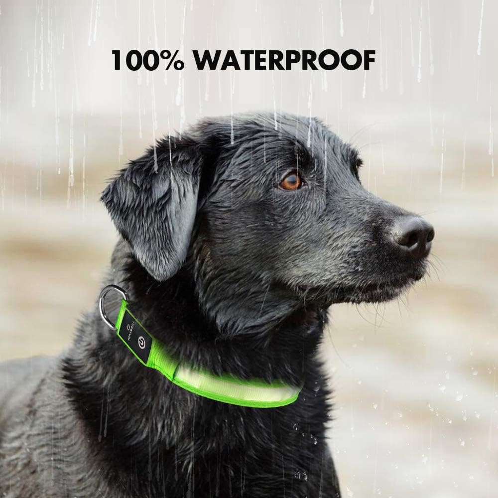 Detalle de MASBRILL Light Up Dog Collar (Green) – Rechargeable, Waterproof LED collar with 3 lighting modes