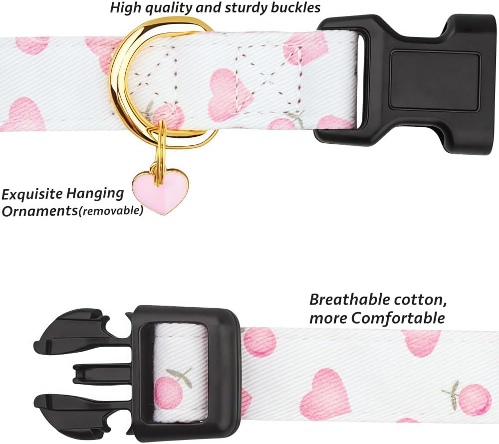 Detalle de MAJIAYU Cotton Dog Collar, Size L