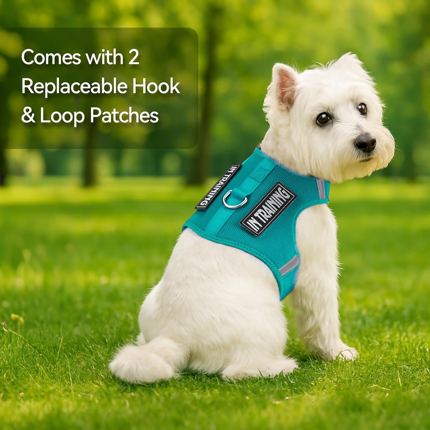 Detalle 2 de Sunraymascota Cat Harness XXS