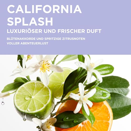 Detalle 2 de Kérastase Blond Absolu Bain Ultra-Violet Shampoo gegen Gelbstich – 250 ml