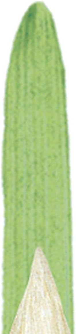 Thumbnail 1 de Winsor & Newton Winton Rundpinsel Nr.6 7 mm