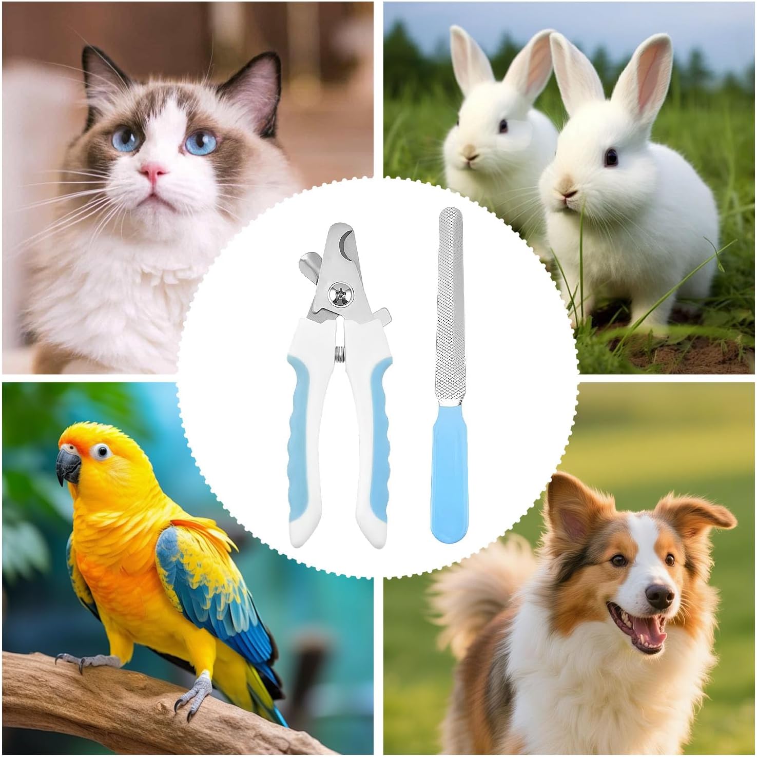 Thumbnail 5 de HWZENQZ Pet Nail Clippers With Nail File: Safety Lock, Protective Cover, and Universal Blade for All Dog Breeds