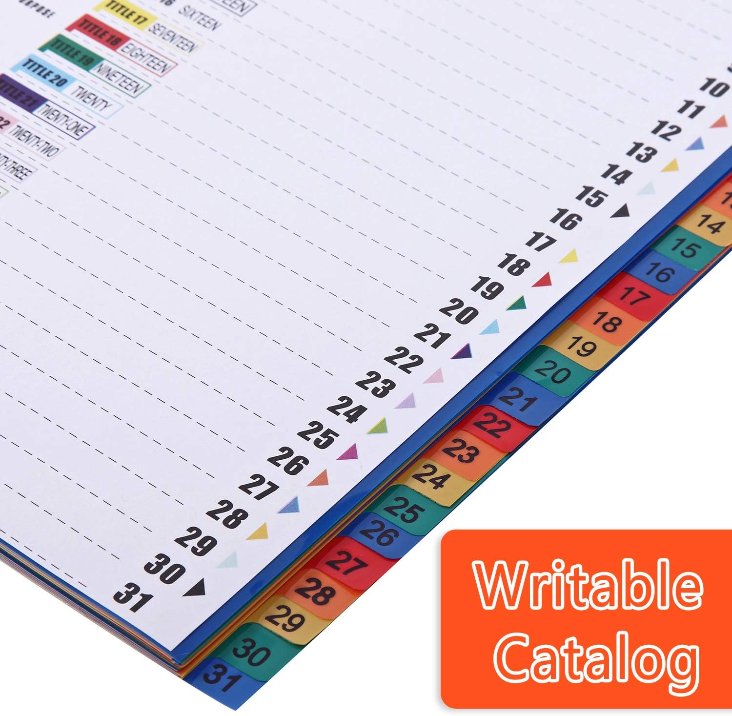 Thumbnail 4 de LELADY JEWELRY Intercalaires A4 31 Positions 📁