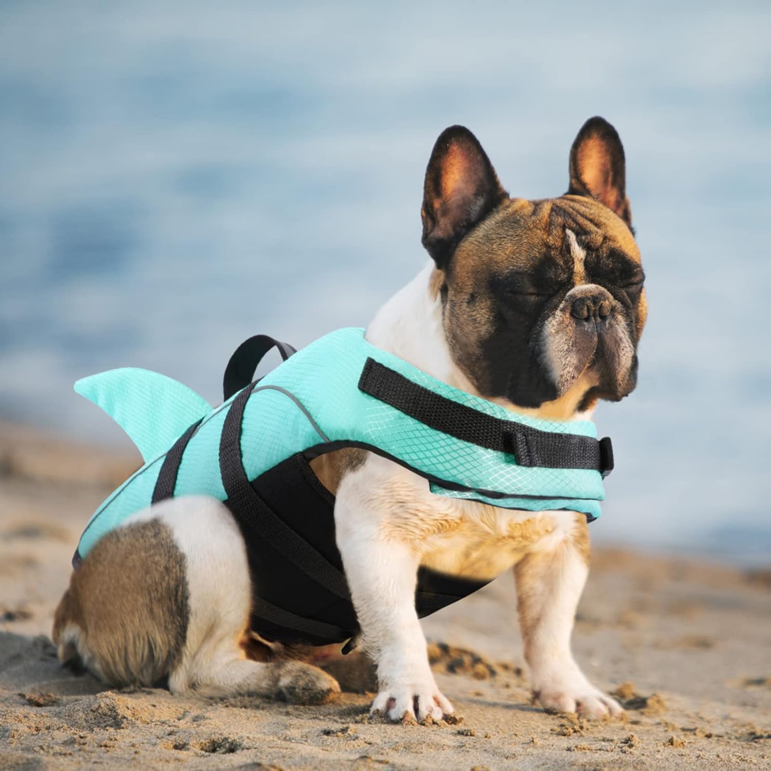 Detalle de Queenmore Ripstop Dog Life Jacket Shark Life Vest – XS Light Blue for Small/Medium Breeds