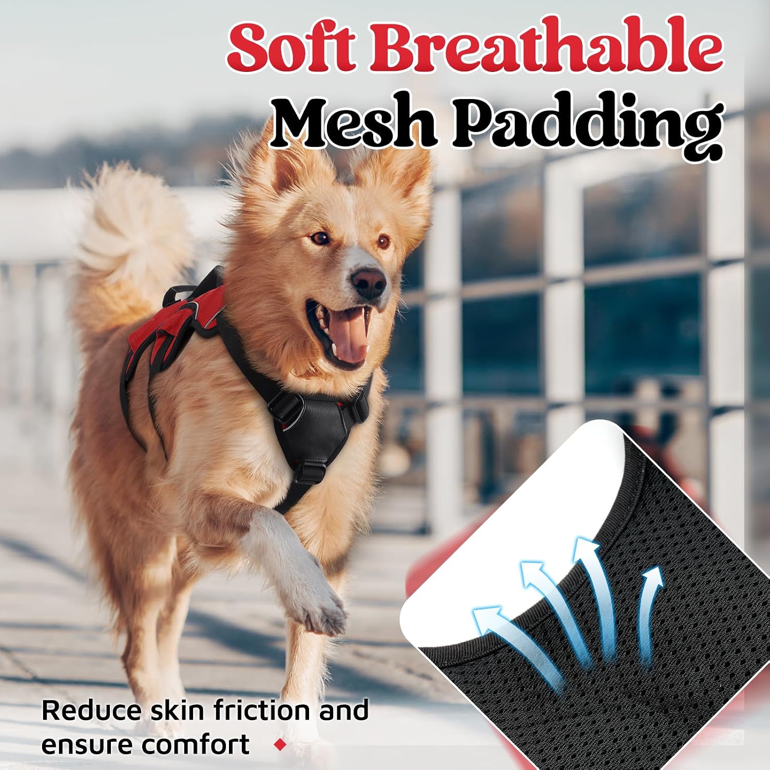 Thumbnail 6 de Rabbitgoo Escape Proof Dog Harness Medium with Large Handle – Secure Lift Assist and Anti-Pull